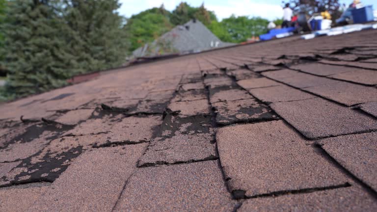 Best Slate Roofing  in Brighton, IL