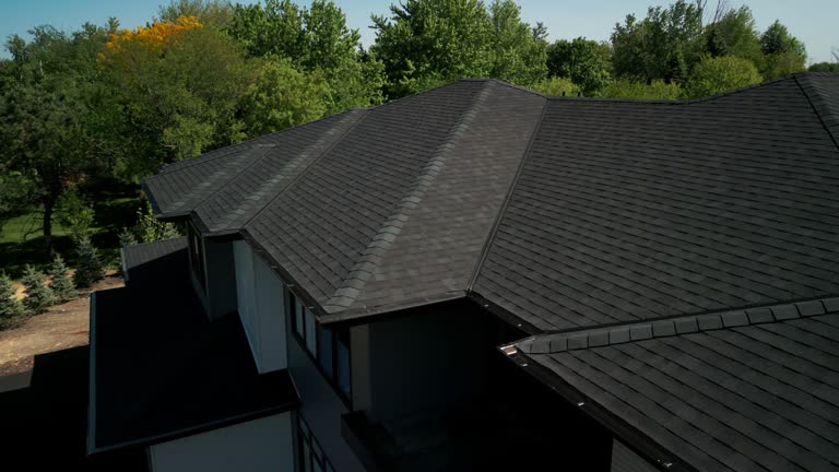 Best Roof Coating and Sealing  in Brighton, IL