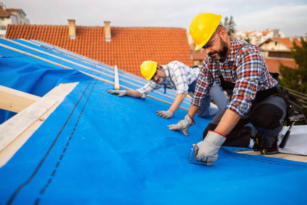 Best Hot Roofs  in Brighton, IL