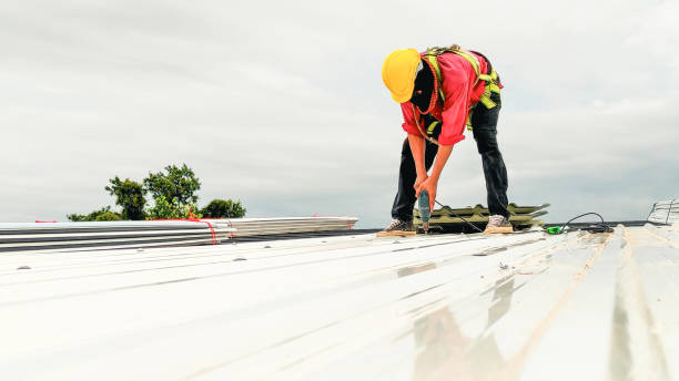 Best 4 Ply Roofing  in Brighton, IL