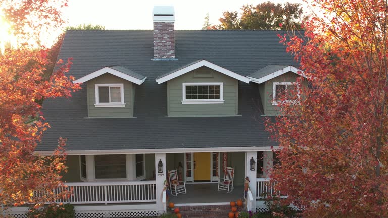 Best Roof Maintenance and Cleaning  in Brighton, IL