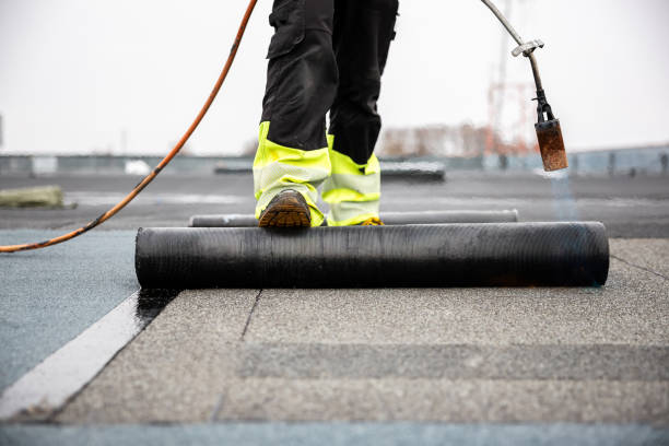 Best Roof Insulation Installation  in Brighton, IL