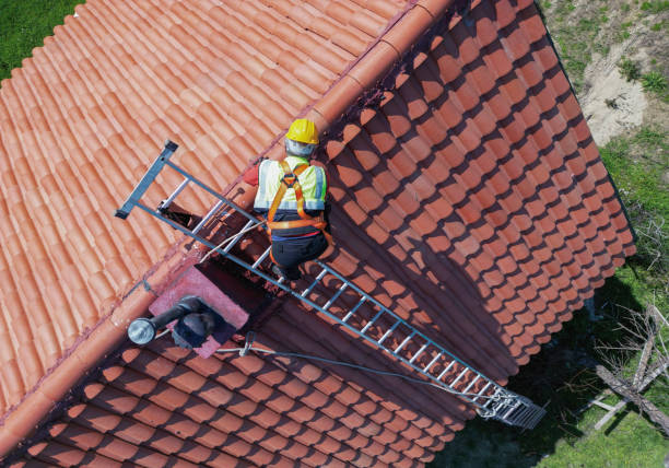 Best Roof Installation  in Brighton, IL