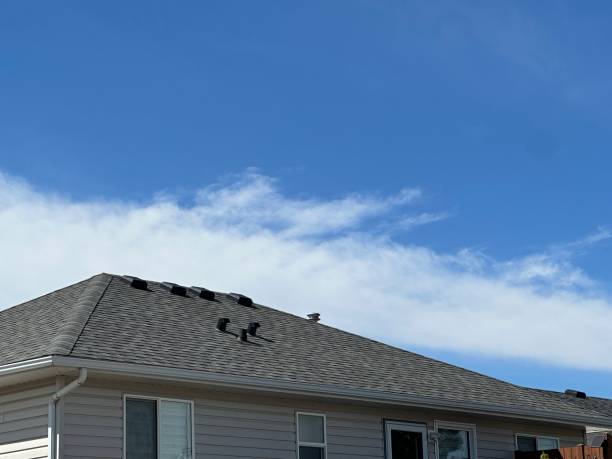 Best Metal Roofing Installation  in Brighton, IL