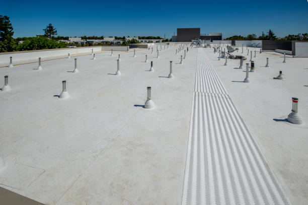 Best Roof Ventilation Installation  in Brighton, IL